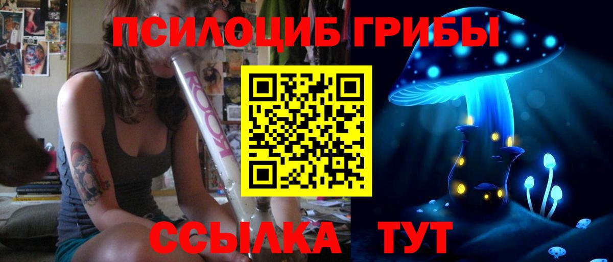 Галлюциногенные грибы Psilocybe Рассказово